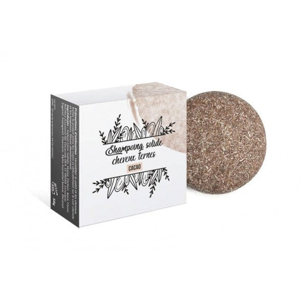 Shampoing Cheveux Ternes