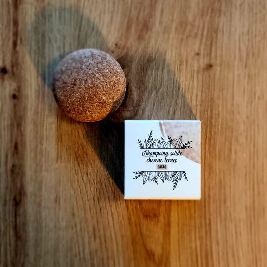 Shampoing Cheveux Ternes